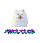 犬味 あいつなんか（個別スタンプ：21）
