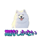 犬味 あいつなんか（個別スタンプ：22）