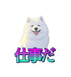 犬味 あいつなんか（個別スタンプ：23）