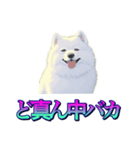 犬味 あいつなんか（個別スタンプ：27）