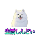 犬味 あいつなんか（個別スタンプ：30）