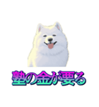犬味 あいつなんか（個別スタンプ：31）