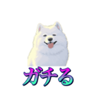 犬味 あいつなんか（個別スタンプ：32）