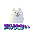 犬味 あいつなんか（個別スタンプ：34）