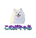 犬味 あいつなんか（個別スタンプ：35）
