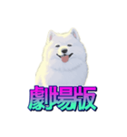 犬味 あいつなんか（個別スタンプ：36）