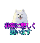 犬味 あいつなんか（個別スタンプ：37）