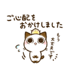 ちょこさん。～防災・思いやり猫～お守りに（個別スタンプ：11）