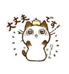 ちょこさん。～防災・思いやり猫～お守りに（個別スタンプ：14）