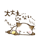 ちょこさん。～防災・思いやり猫～お守りに（個別スタンプ：16）