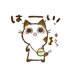 ちょこさん。～防災・思いやり猫～お守りに（個別スタンプ：22）