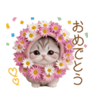 スコティッシュ猫 毎日送れる 可愛い日常（個別スタンプ：2）