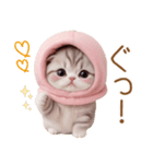 スコティッシュ猫 毎日送れる 可愛い日常（個別スタンプ：4）