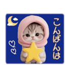 スコティッシュ猫 毎日送れる 可愛い日常（個別スタンプ：6）
