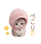 スコティッシュ猫 毎日送れる 可愛い日常（個別スタンプ：8）