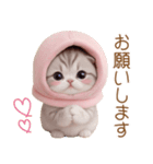 スコティッシュ猫 毎日送れる 可愛い日常（個別スタンプ：9）