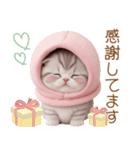 スコティッシュ猫 毎日送れる 可愛い日常（個別スタンプ：10）