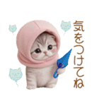 スコティッシュ猫 毎日送れる 可愛い日常（個別スタンプ：16）