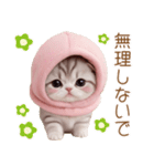 スコティッシュ猫 毎日送れる 可愛い日常（個別スタンプ：18）