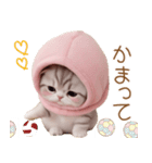 スコティッシュ猫 毎日送れる 可愛い日常（個別スタンプ：22）