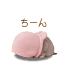 スコティッシュ猫 毎日送れる 可愛い日常（個別スタンプ：24）