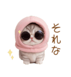 スコティッシュ猫 毎日送れる 可愛い日常（個別スタンプ：27）