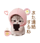 スコティッシュ猫 毎日送れる 可愛い日常（個別スタンプ：29）