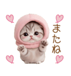 スコティッシュ猫 毎日送れる 可愛い日常（個別スタンプ：31）