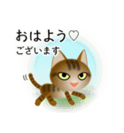 色々な猫13-1 短毛-立ち耳-キジトラ（個別スタンプ：1）