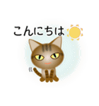 色々な猫13-1 短毛-立ち耳-キジトラ（個別スタンプ：5）
