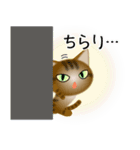 色々な猫13-1 短毛-立ち耳-キジトラ（個別スタンプ：6）