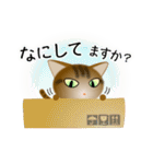 色々な猫13-1 短毛-立ち耳-キジトラ（個別スタンプ：8）