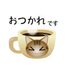色々な猫13-1 短毛-立ち耳-キジトラ（個別スタンプ：9）