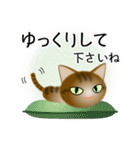 色々な猫13-1 短毛-立ち耳-キジトラ（個別スタンプ：12）