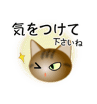色々な猫13-1 短毛-立ち耳-キジトラ（個別スタンプ：14）