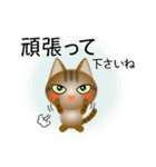 色々な猫13-1 短毛-立ち耳-キジトラ（個別スタンプ：16）