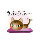 色々な猫13-1 短毛-立ち耳-キジトラ（個別スタンプ：25）