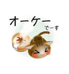 色々な猫13-1 短毛-立ち耳-キジトラ（個別スタンプ：28）