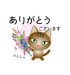 色々な猫13-1 短毛-立ち耳-キジトラ（個別スタンプ：31）