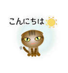 色々な猫13-2 短毛-垂れ耳-キジトラ（個別スタンプ：5）