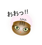 色々な猫13-2 短毛-垂れ耳-キジトラ（個別スタンプ：10）