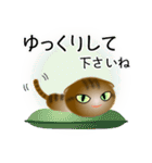 色々な猫13-2 短毛-垂れ耳-キジトラ（個別スタンプ：12）
