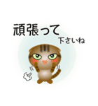 色々な猫13-2 短毛-垂れ耳-キジトラ（個別スタンプ：16）