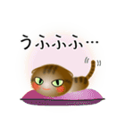 色々な猫13-2 短毛-垂れ耳-キジトラ（個別スタンプ：25）