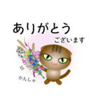 色々な猫13-2 短毛-垂れ耳-キジトラ（個別スタンプ：31）