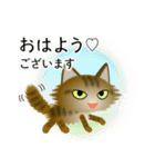 色々な猫13-3 長毛-立ち耳-キジトラ（個別スタンプ：1）