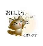 色々な猫13-3 長毛-立ち耳-キジトラ（個別スタンプ：2）