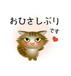 色々な猫13-3 長毛-立ち耳-キジトラ（個別スタンプ：3）