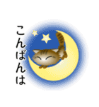 色々な猫13-3 長毛-立ち耳-キジトラ（個別スタンプ：7）