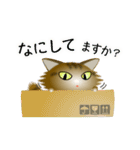 色々な猫13-3 長毛-立ち耳-キジトラ（個別スタンプ：8）